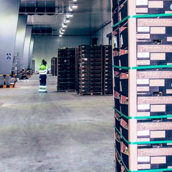 Alonso Group's multimodal logistics platform is strategically located in the south of the Iberian Peninsula.